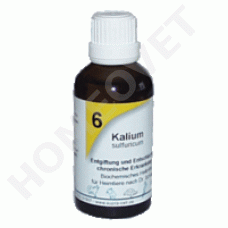 Schüssler Celzouten Nr.6 Kalium sulfuricum